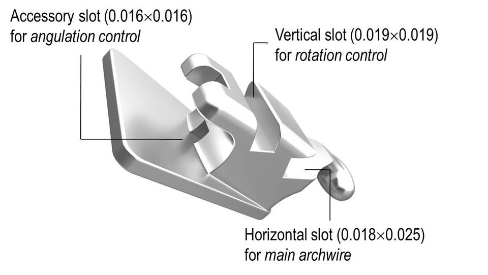 Multi-Slotted Lingual Bracket - Anboini